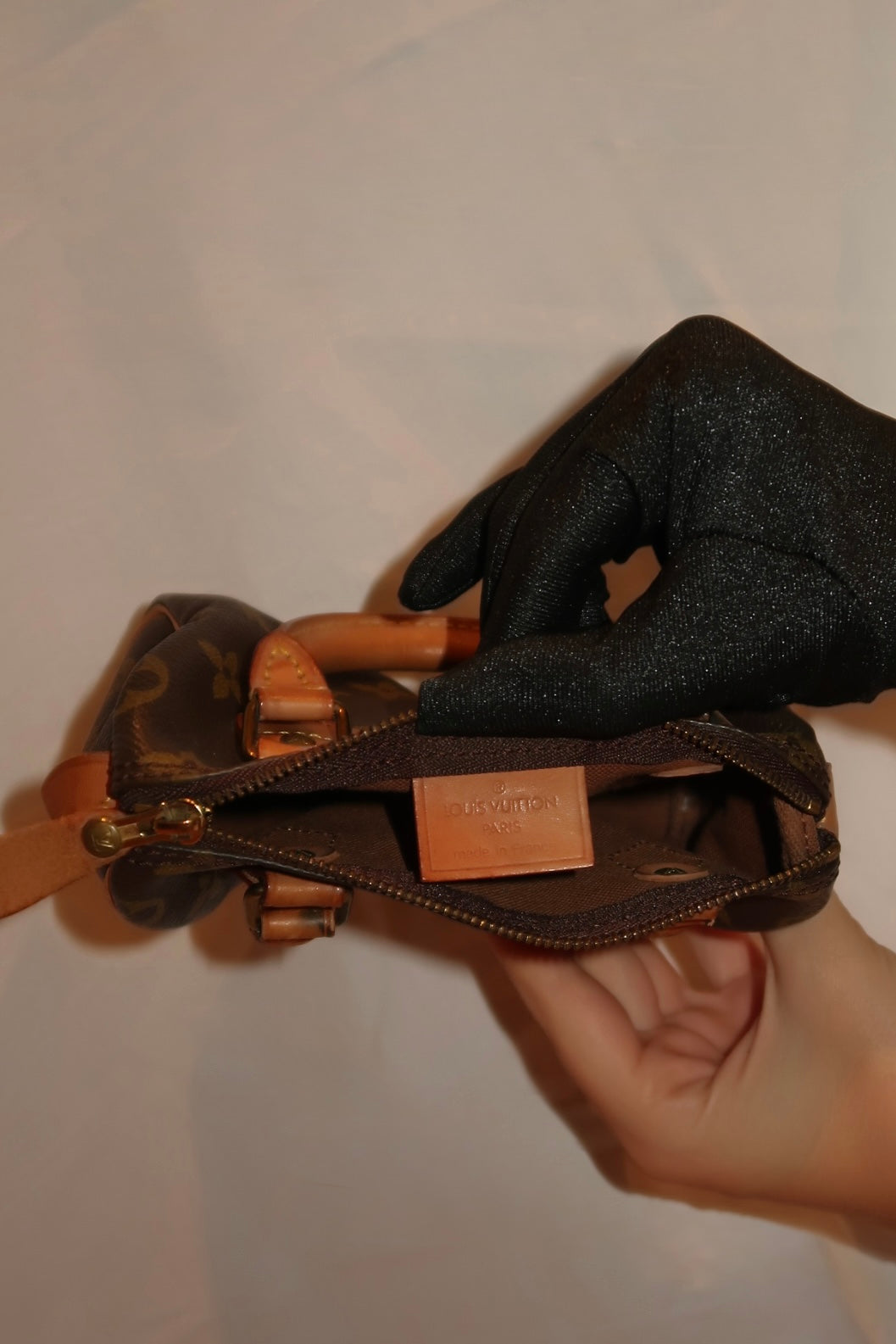 Louis Vuitton Speedy Nano