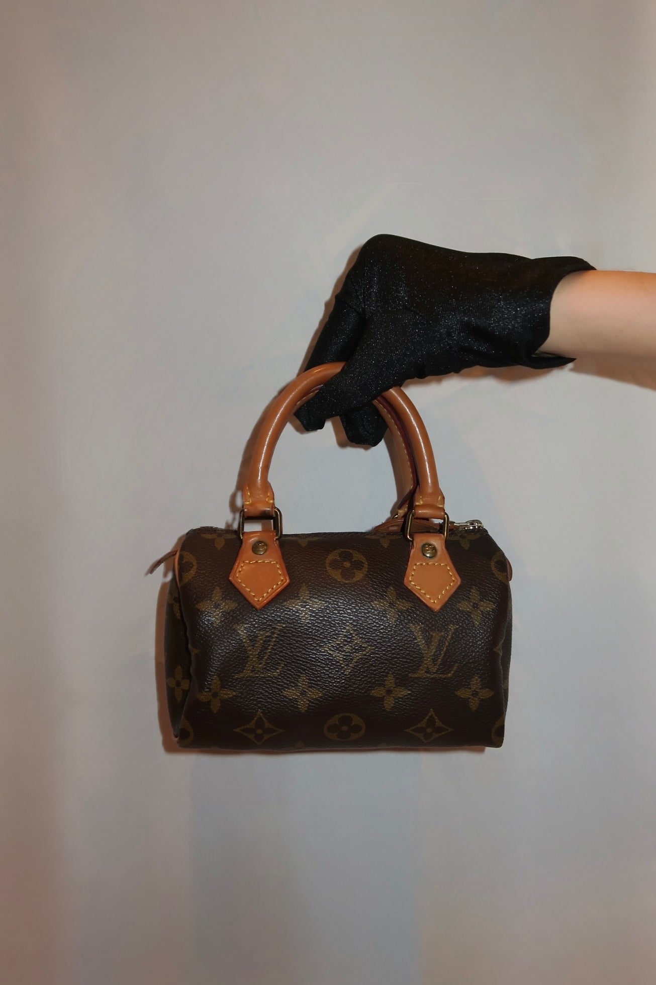 Louis Vuitton Speedy Nano
