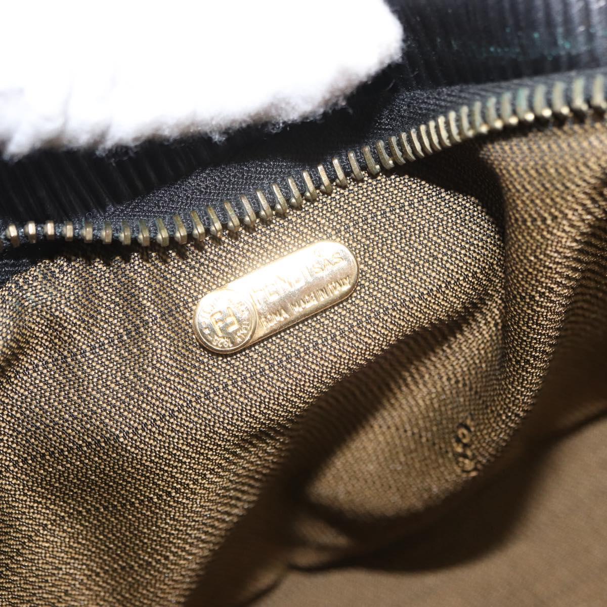 Fendi Zucca Mini