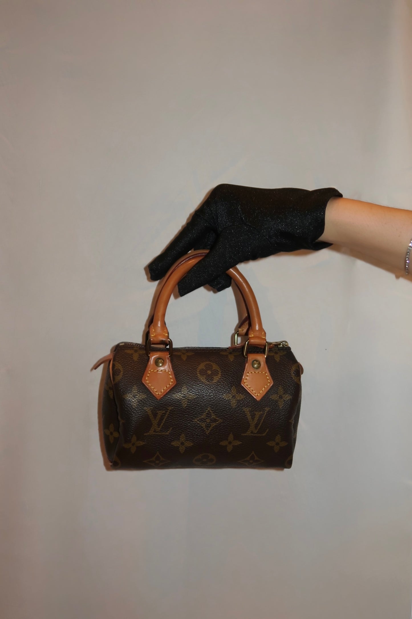Louis Vuitton Speedy Nano