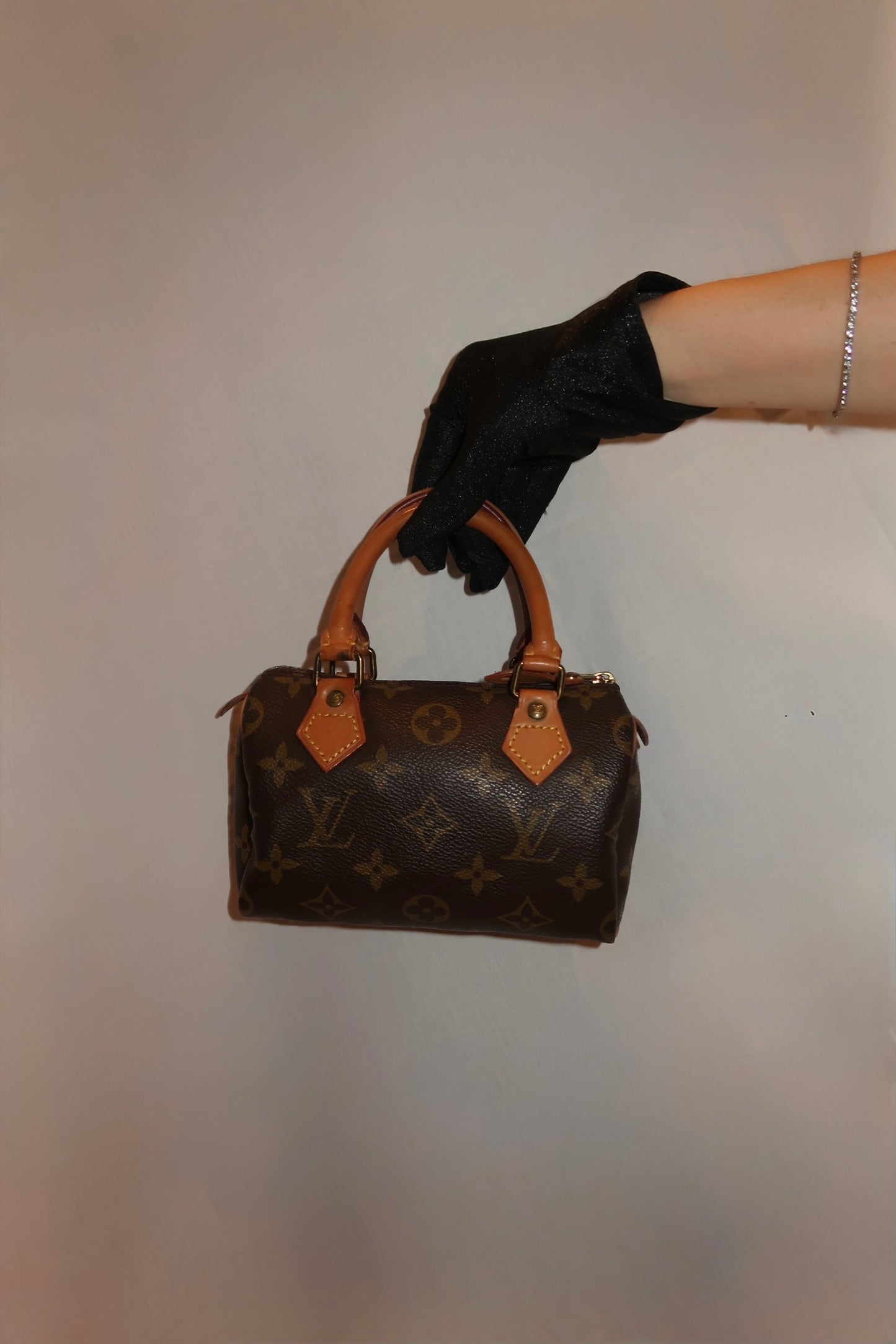 Louis Vuitton Speedy Nano