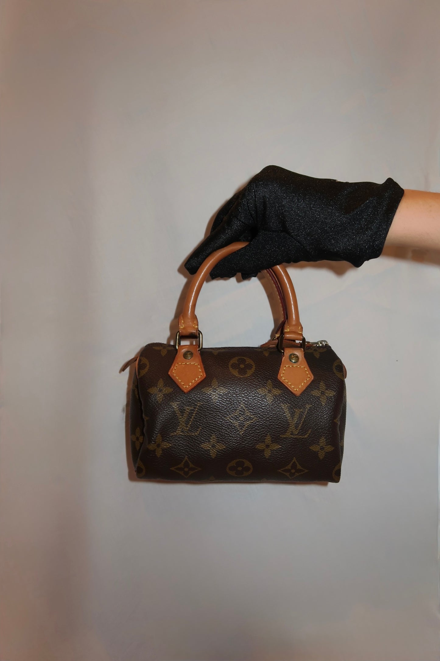 Louis Vuitton Speedy Nano