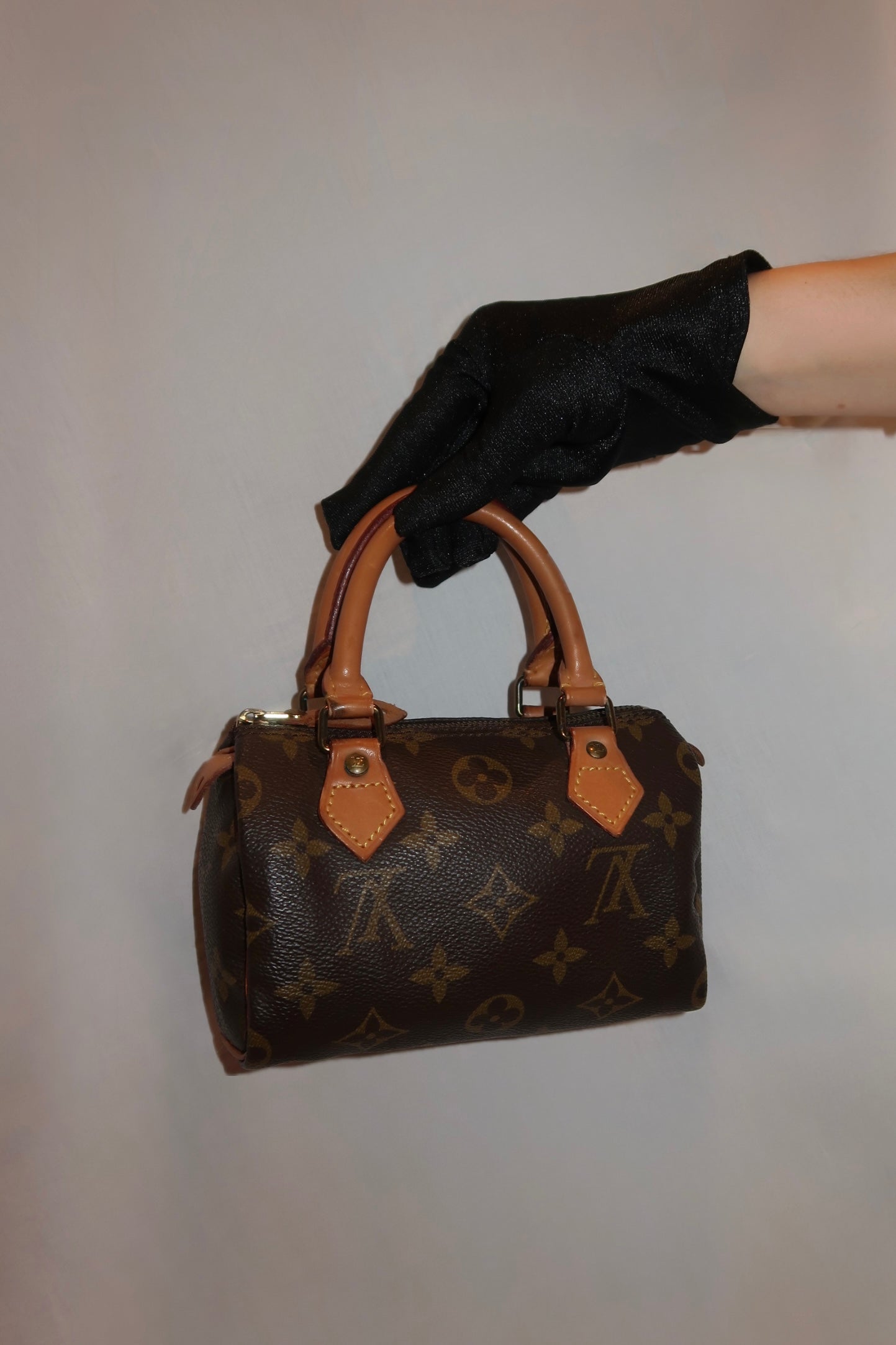 Louis Vuitton Speedy Nano