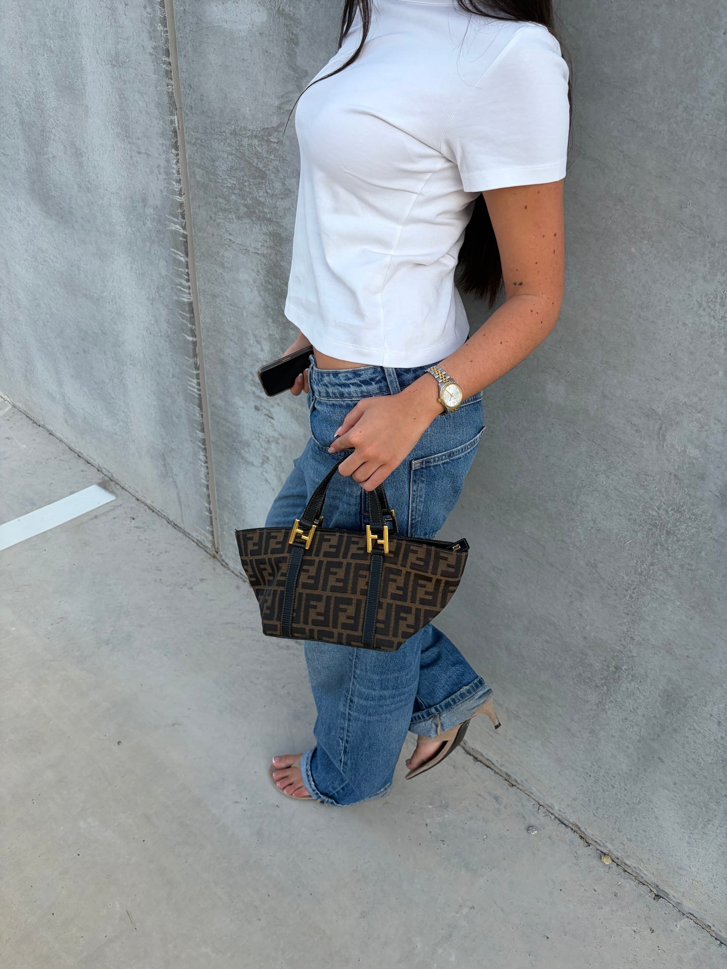 Fendi Zucca Mini