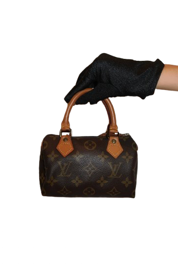 Louis Vuitton Speedy Nano