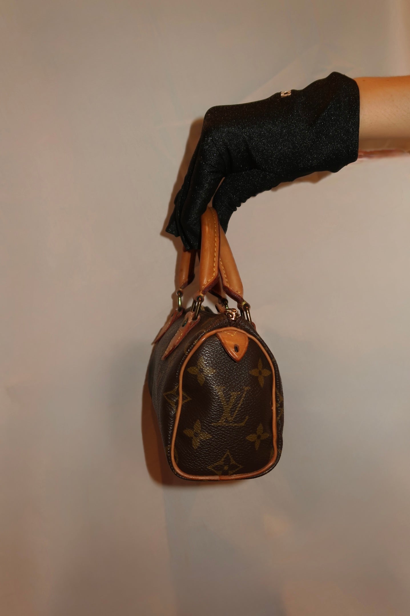 Louis Vuitton Speedy Nano