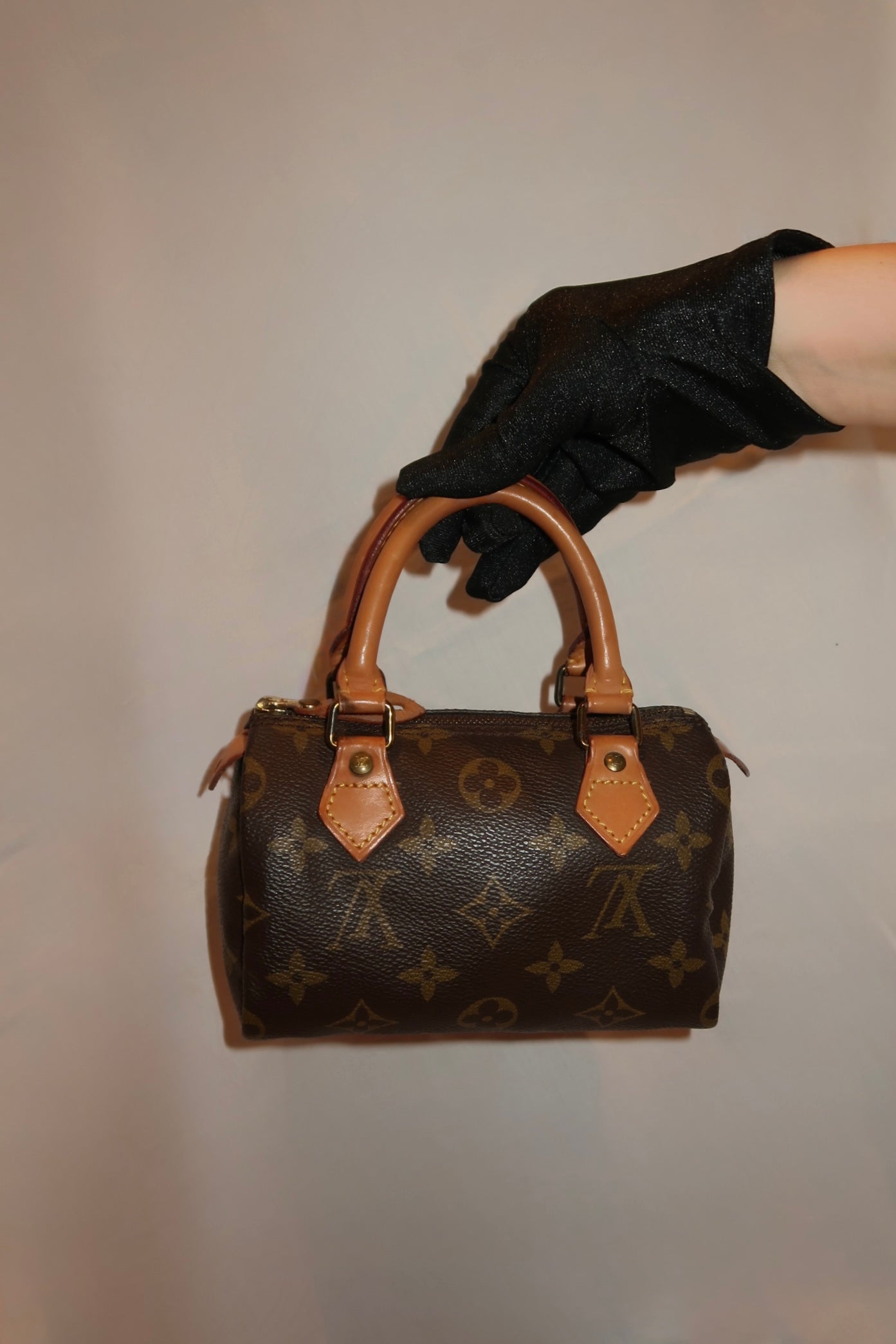Louis Vuitton Speedy Nano