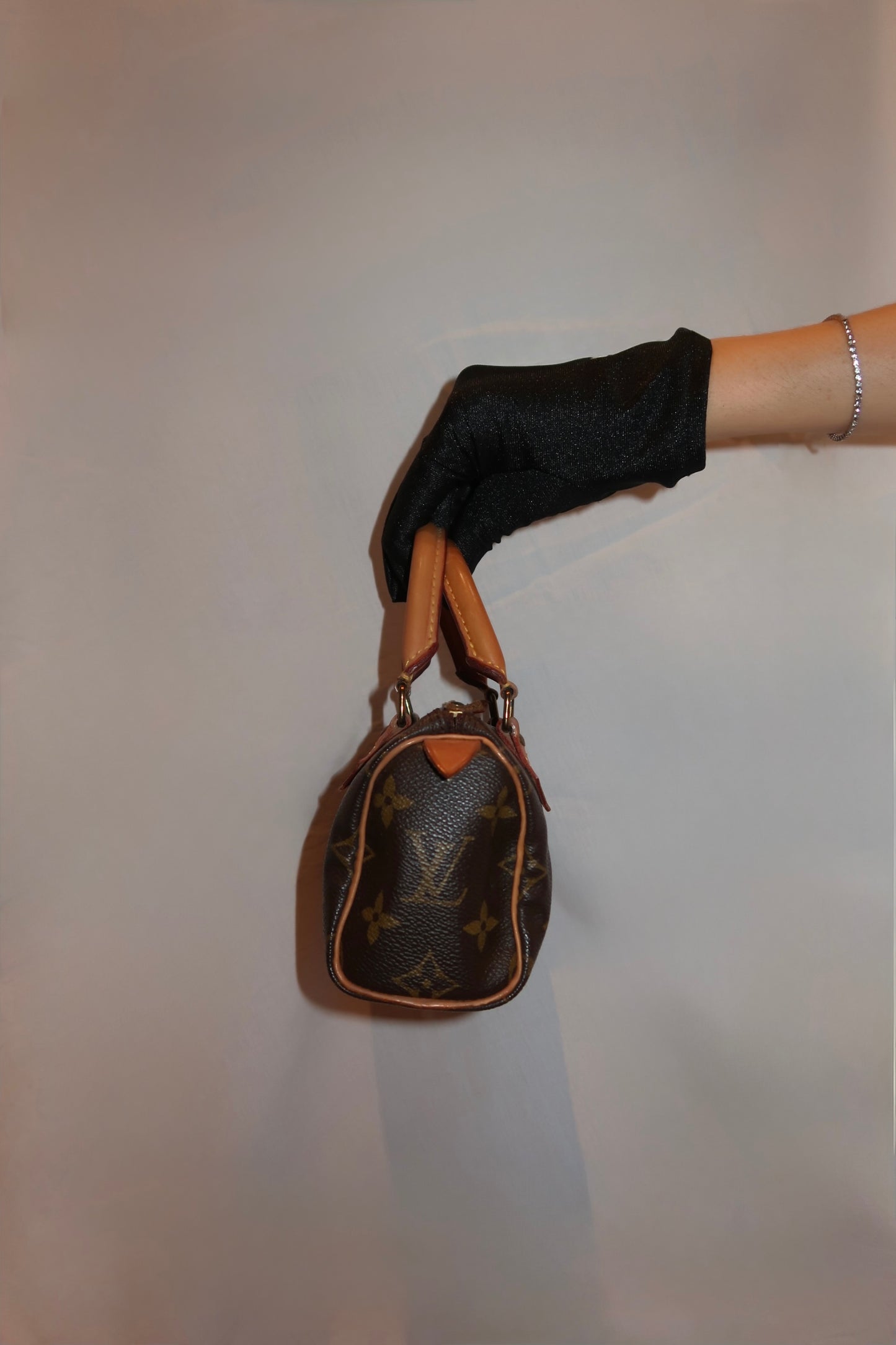 Louis Vuitton Speedy Nano