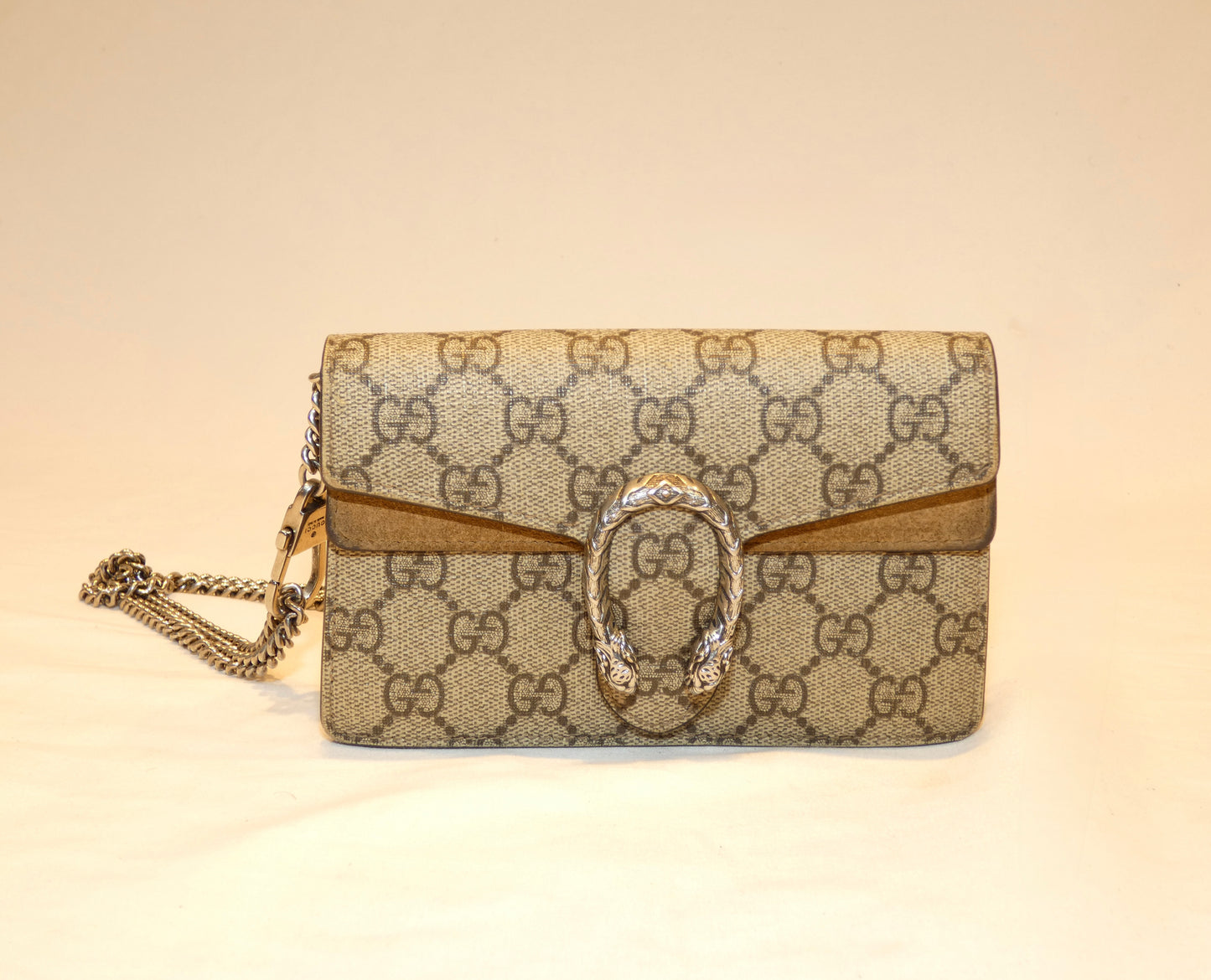 Gucci Dionysus Mini