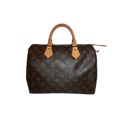 Louis Vuitton Monogram Speedy 30